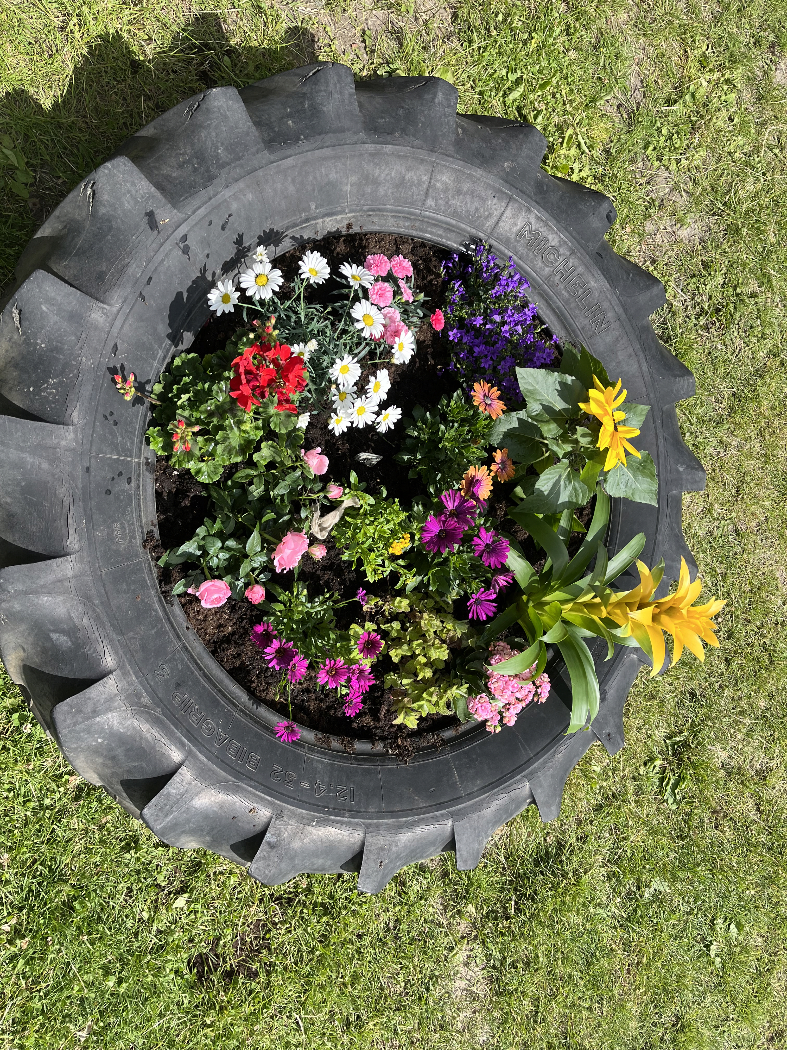 Billede af blomster i traktordæk, fra bedsteforældre blomsterdag